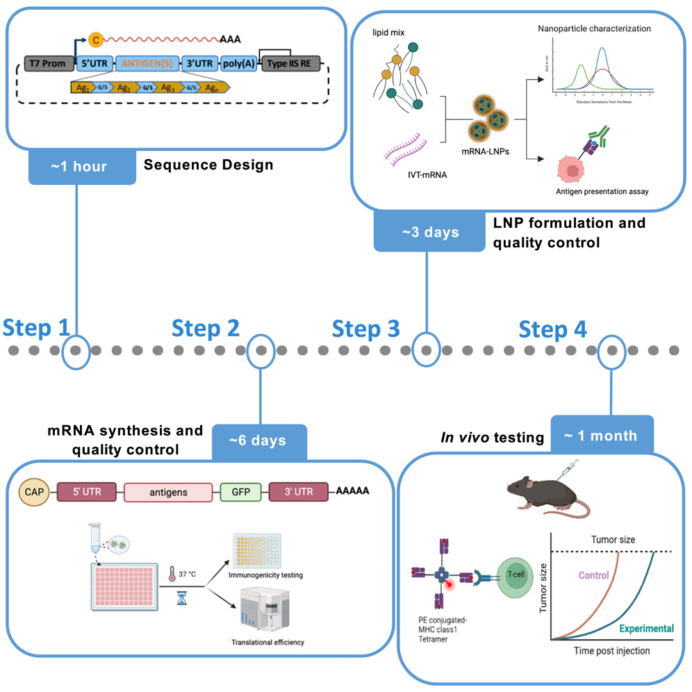 Cell Press: STAR Protocols