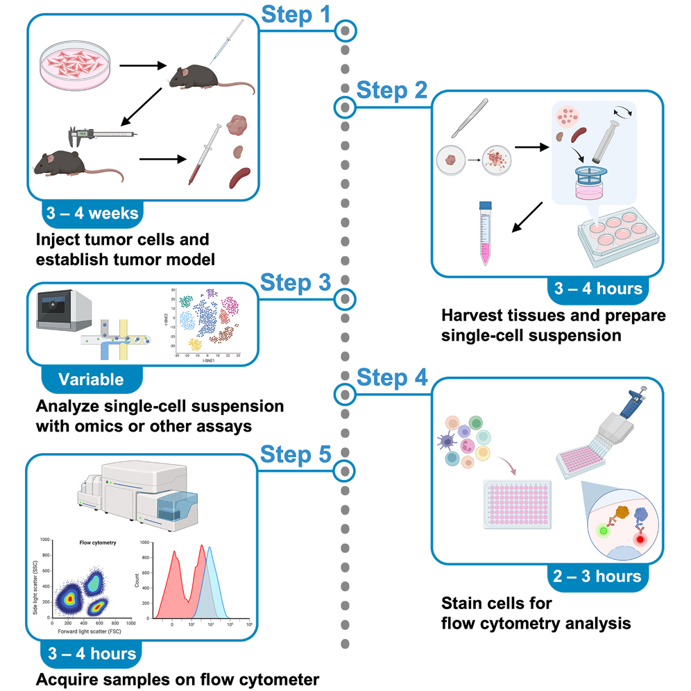 Cell Press: STAR Protocols