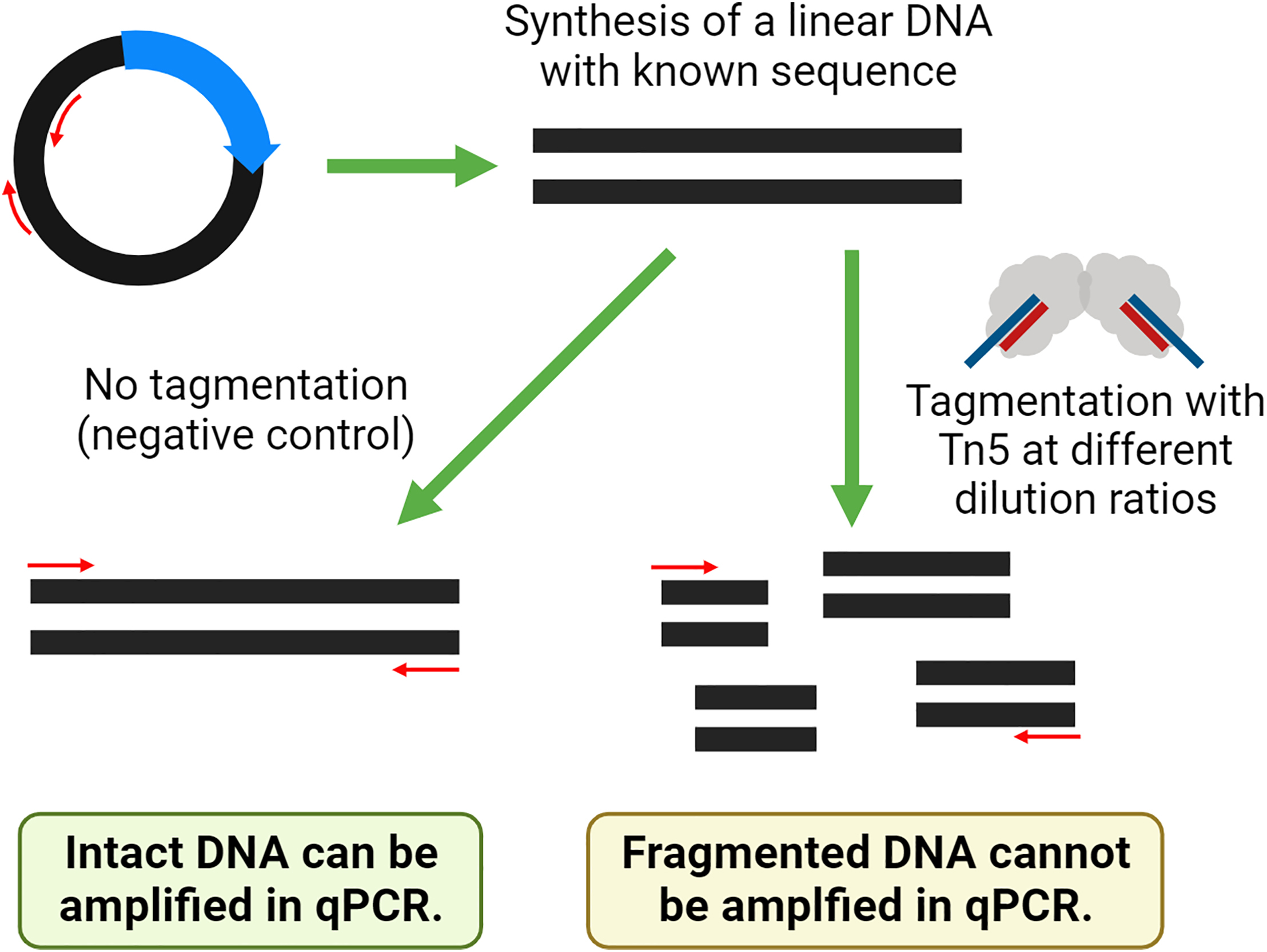Cell Press STAR Protocols