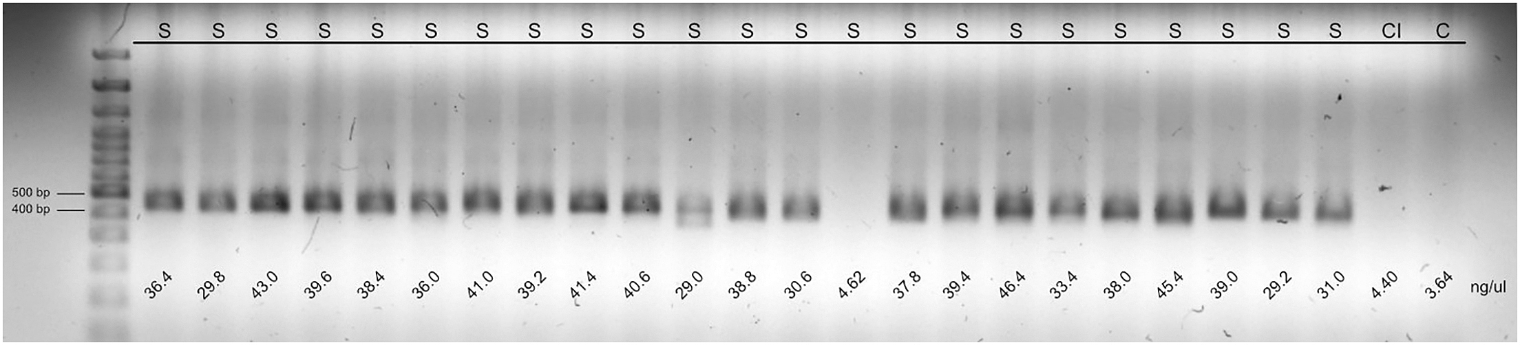 Cell Press: STAR Protocols