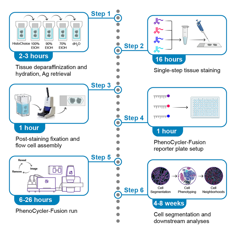 Cell Press STAR Protocols