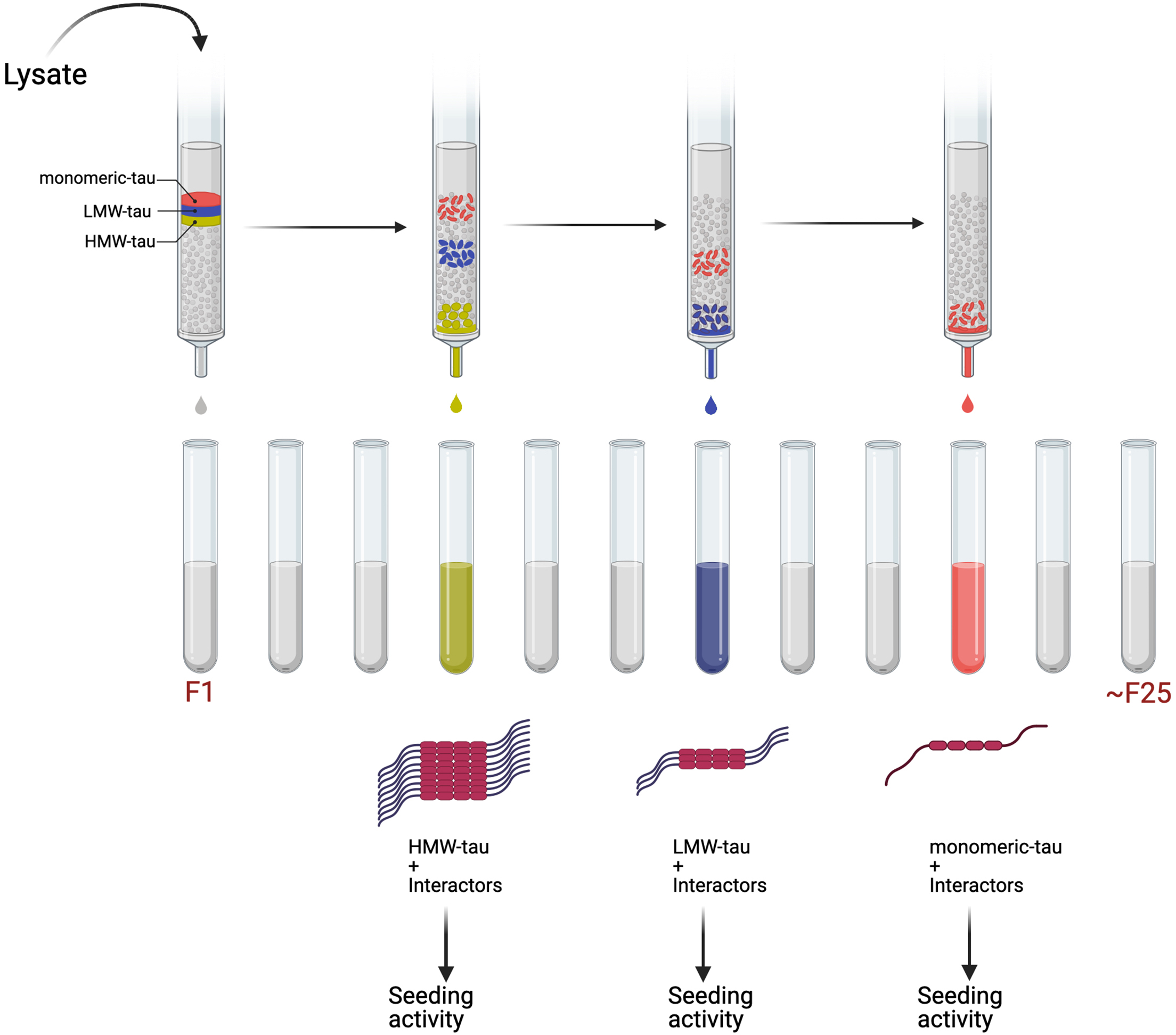 Protocol for the isolation and proteomic analysis of