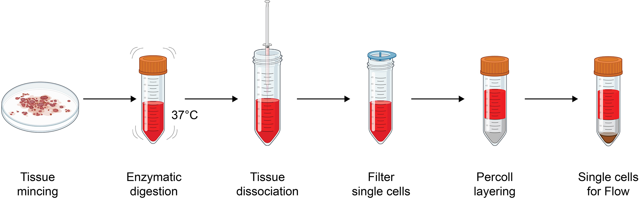 Protocol for murine multi-tissue deep immunophenotyping