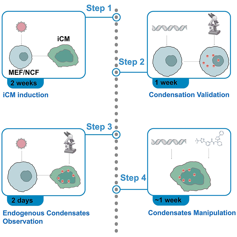 you様 YOU様 (@YOUsamada) / Posts / X
