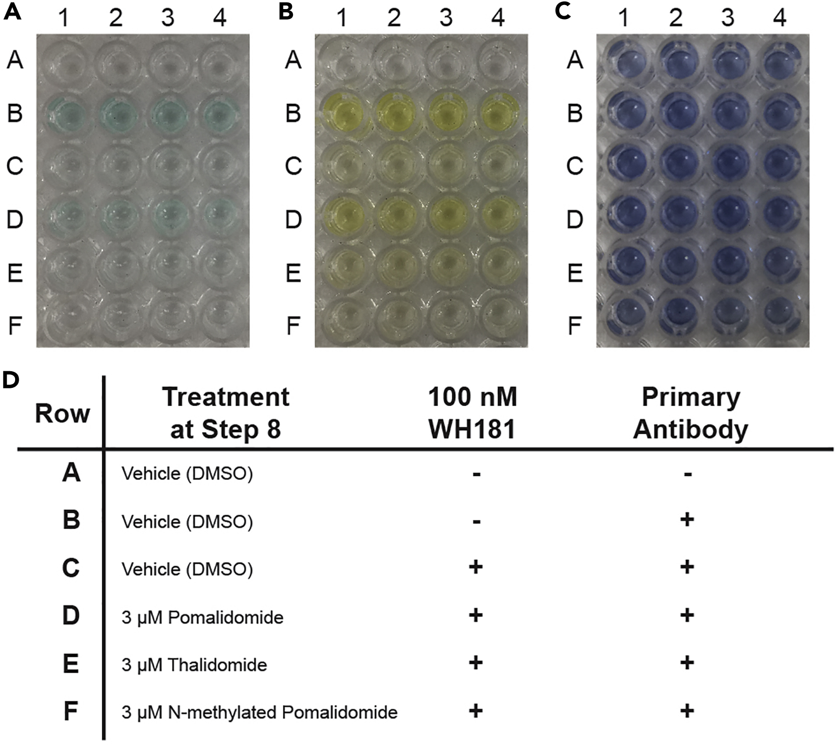 Evaluation of the binding affinity of E3 ubiquitin ligase