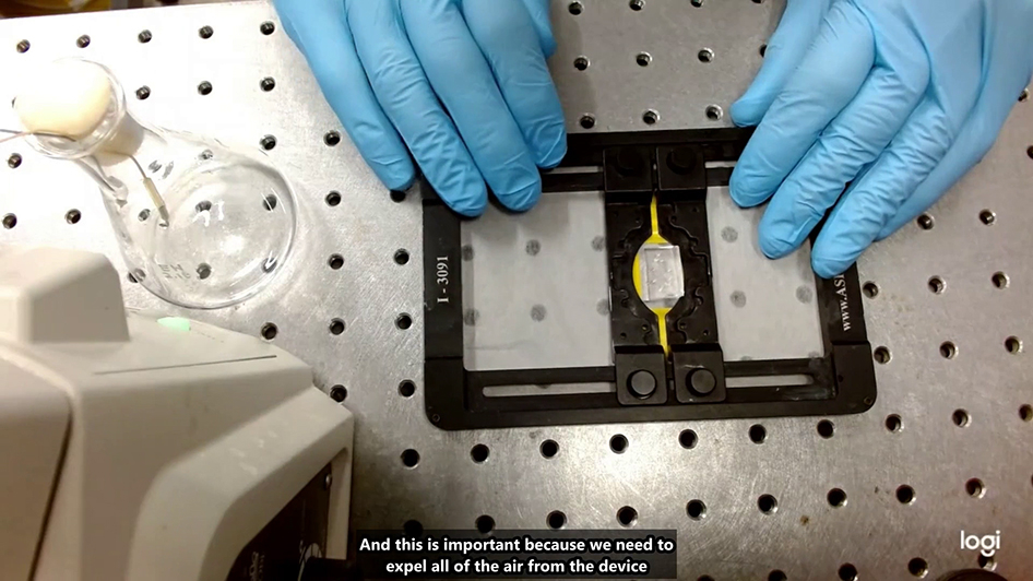 Yeast Culture - The Dutch Connection ノイズ Yeast Culture - The Dutch Connection ノイズ