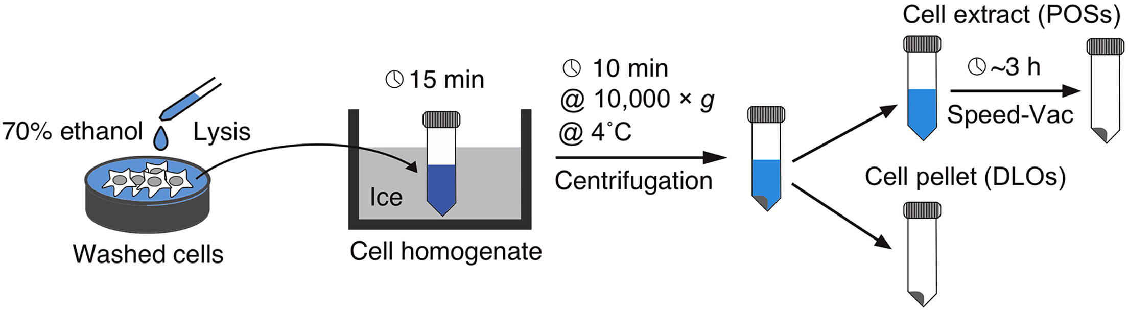 Cell Press: STAR Protocols