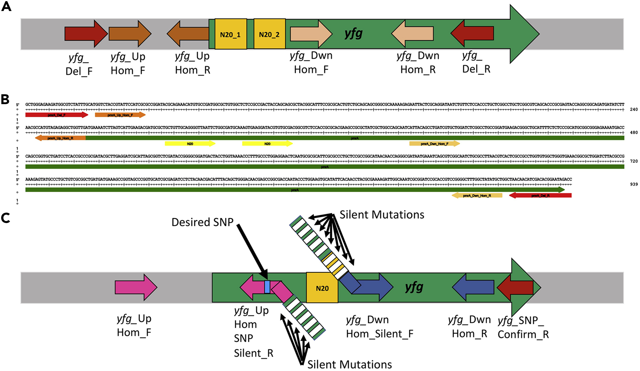 https://prod-shared-star-protocols.s3.amazonaws.com/protocols/507-Fig2.jpg