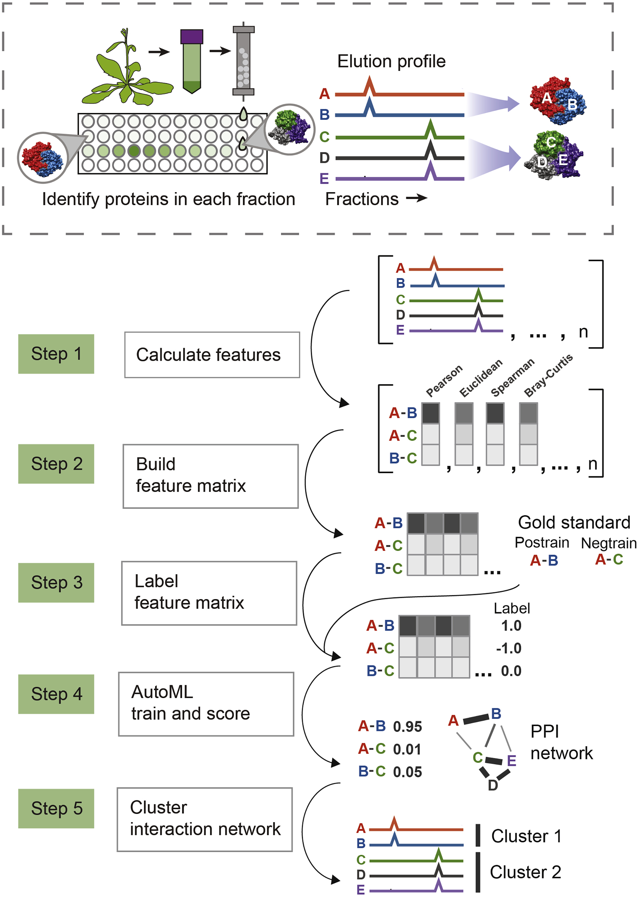 Cell Press STAR Protocols