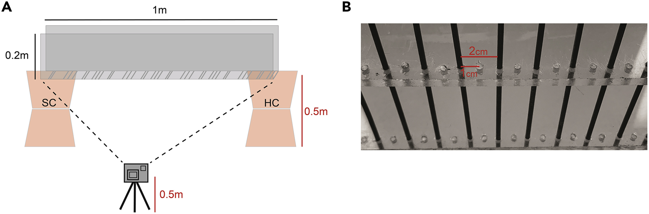 Cell Press: STAR Protocols