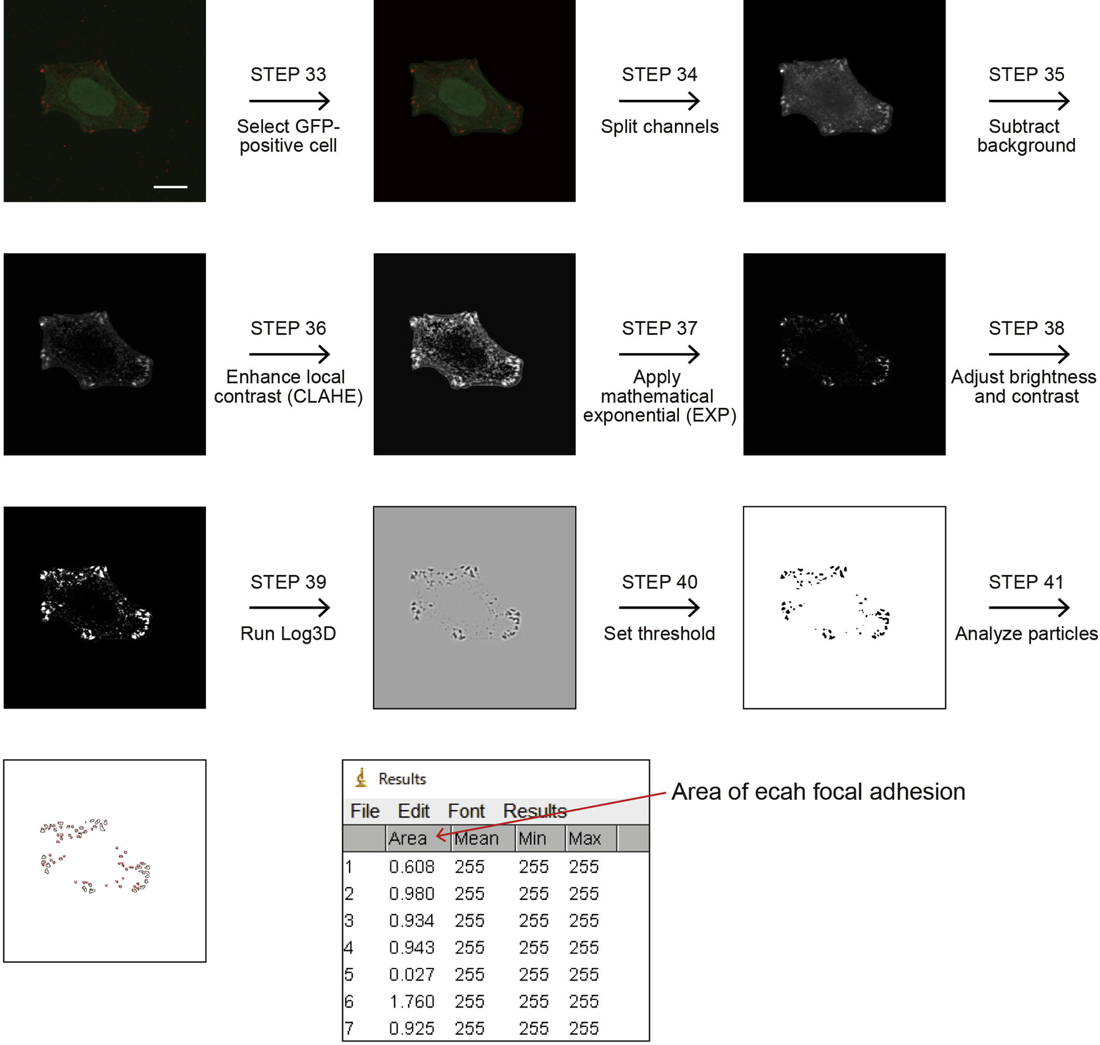 Cell Press Star Protocols