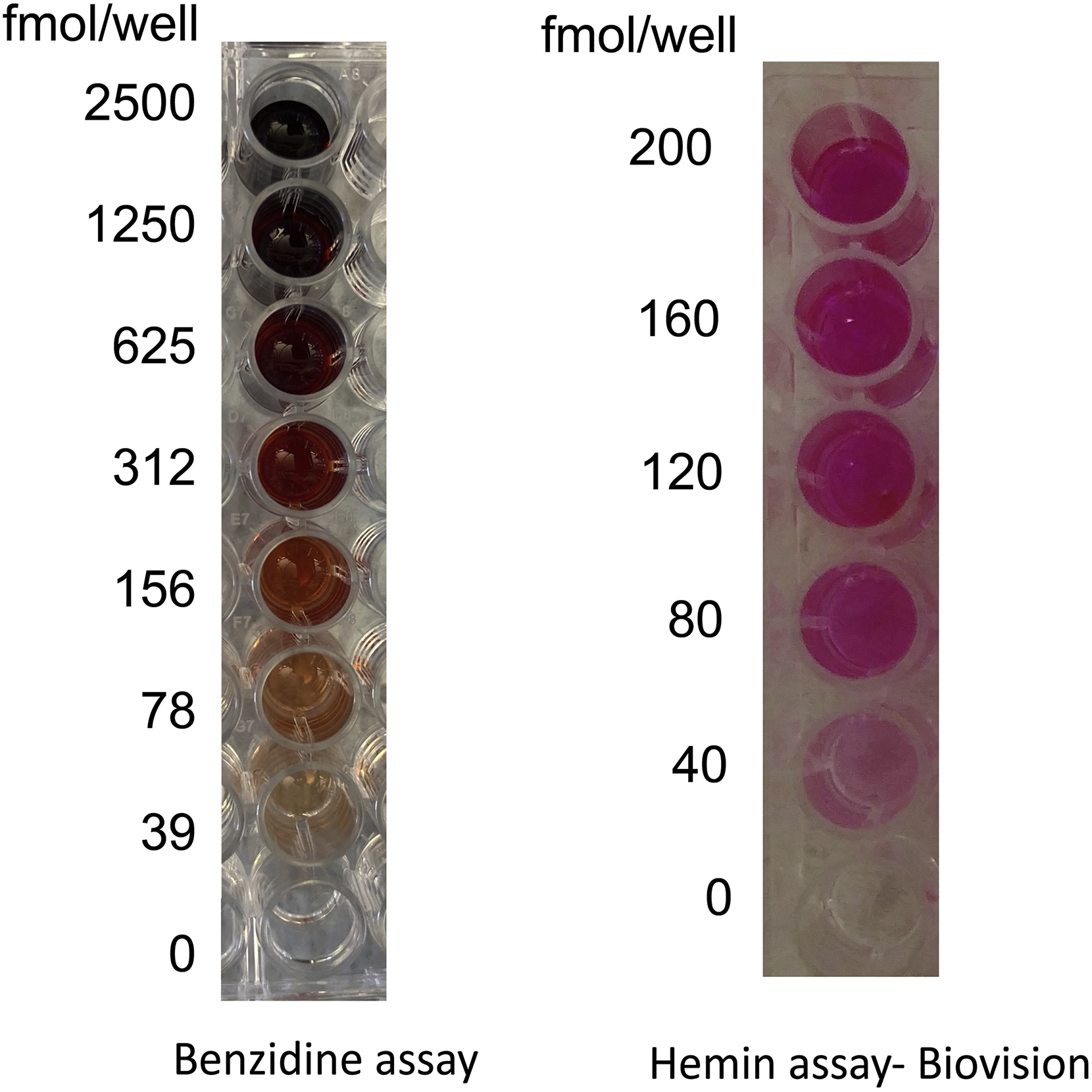 Cell Press: STAR Protocols