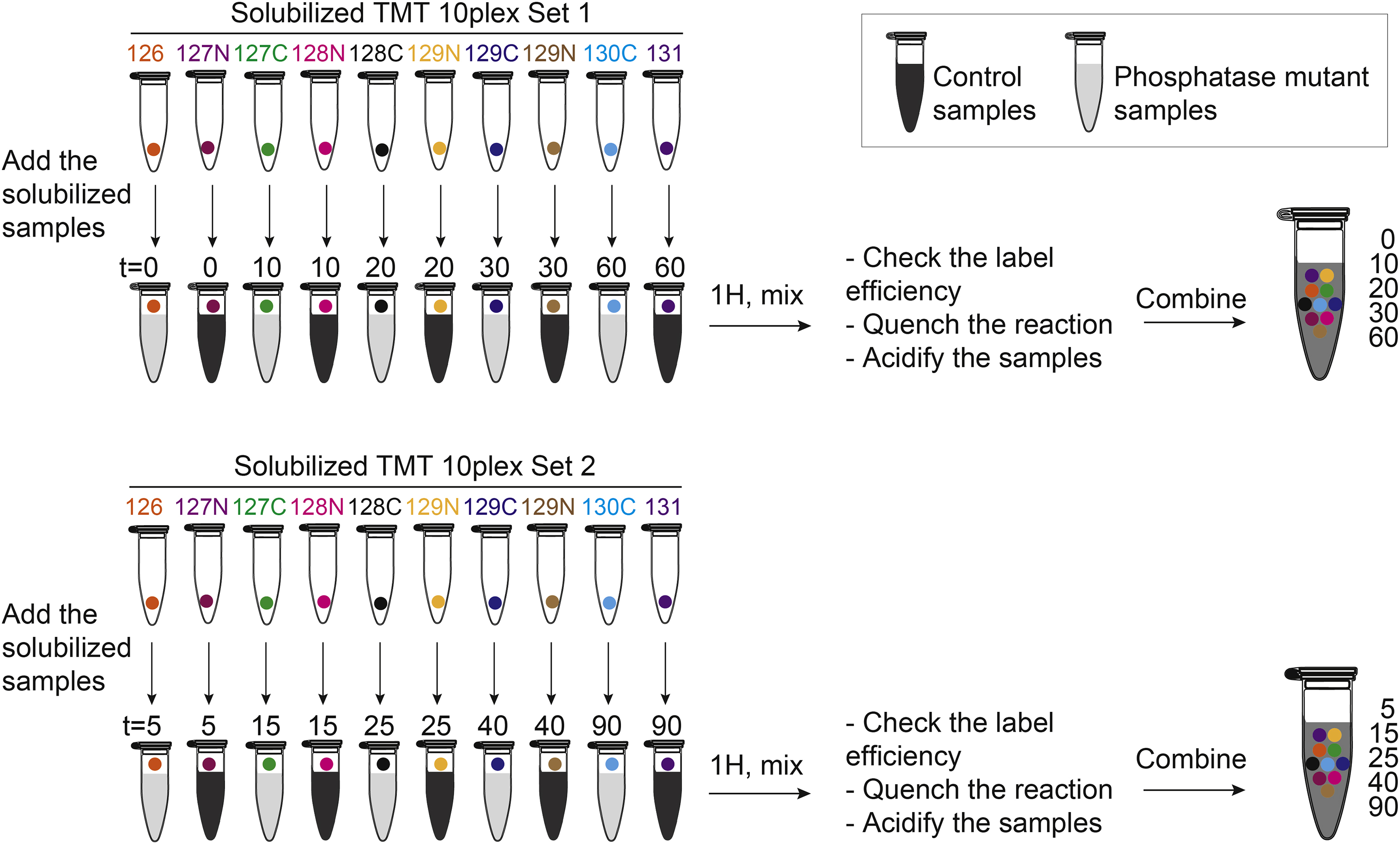 Assessing Budding Yeast Phosphoproteome Dynamics in a Time