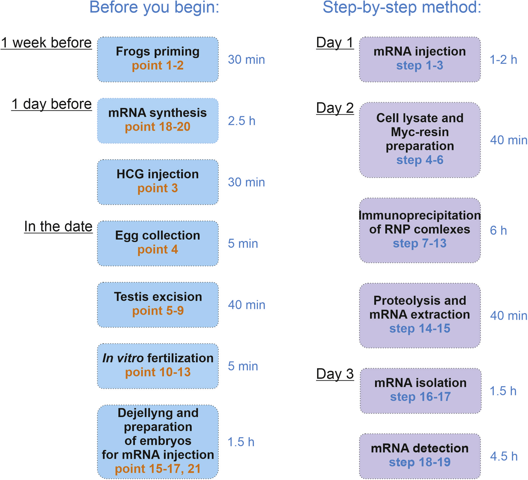 Cell Press STAR Protocols