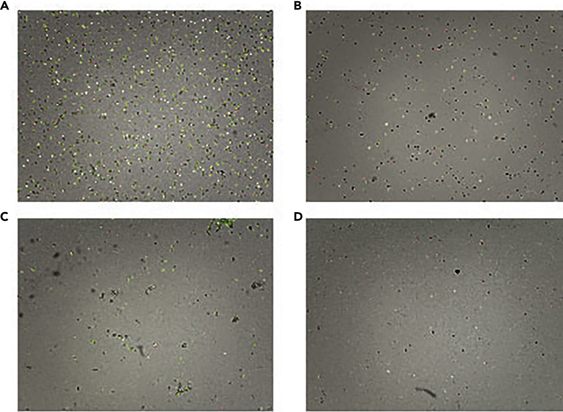 Cell Press STAR Protocols
