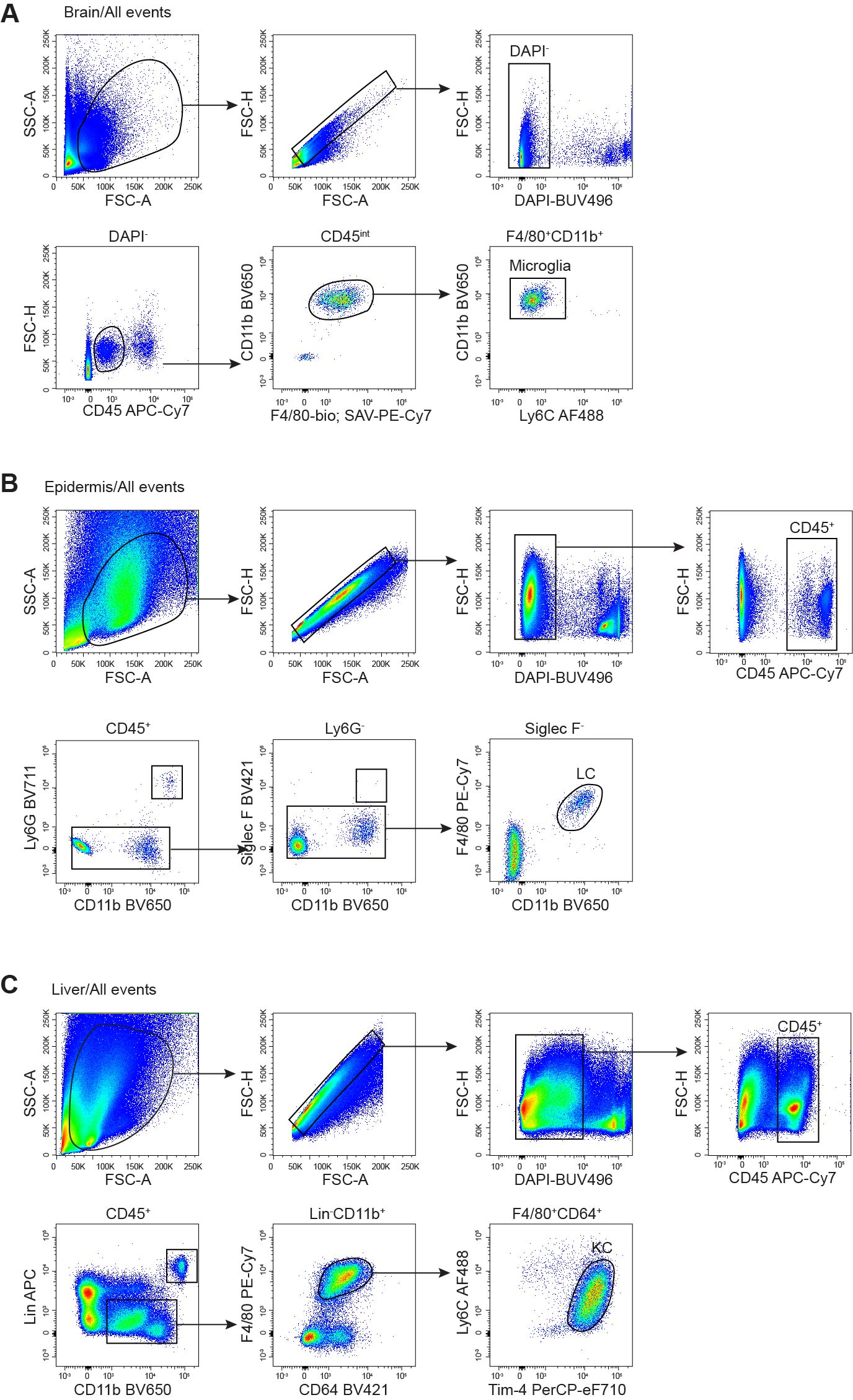 Cell Press: STAR Protocols