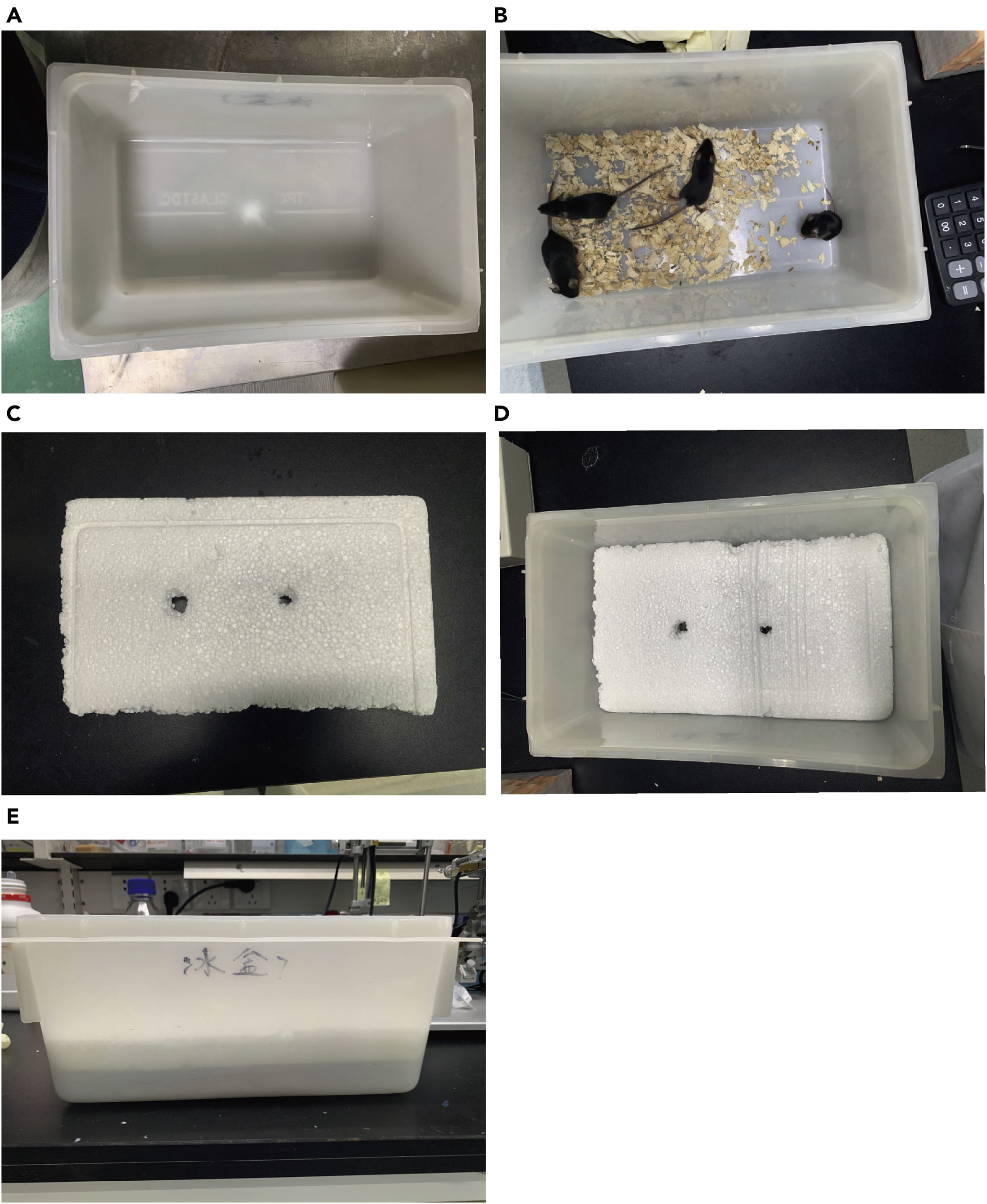 パネル Two-stage load-bearing mechanism of a novel fully dry