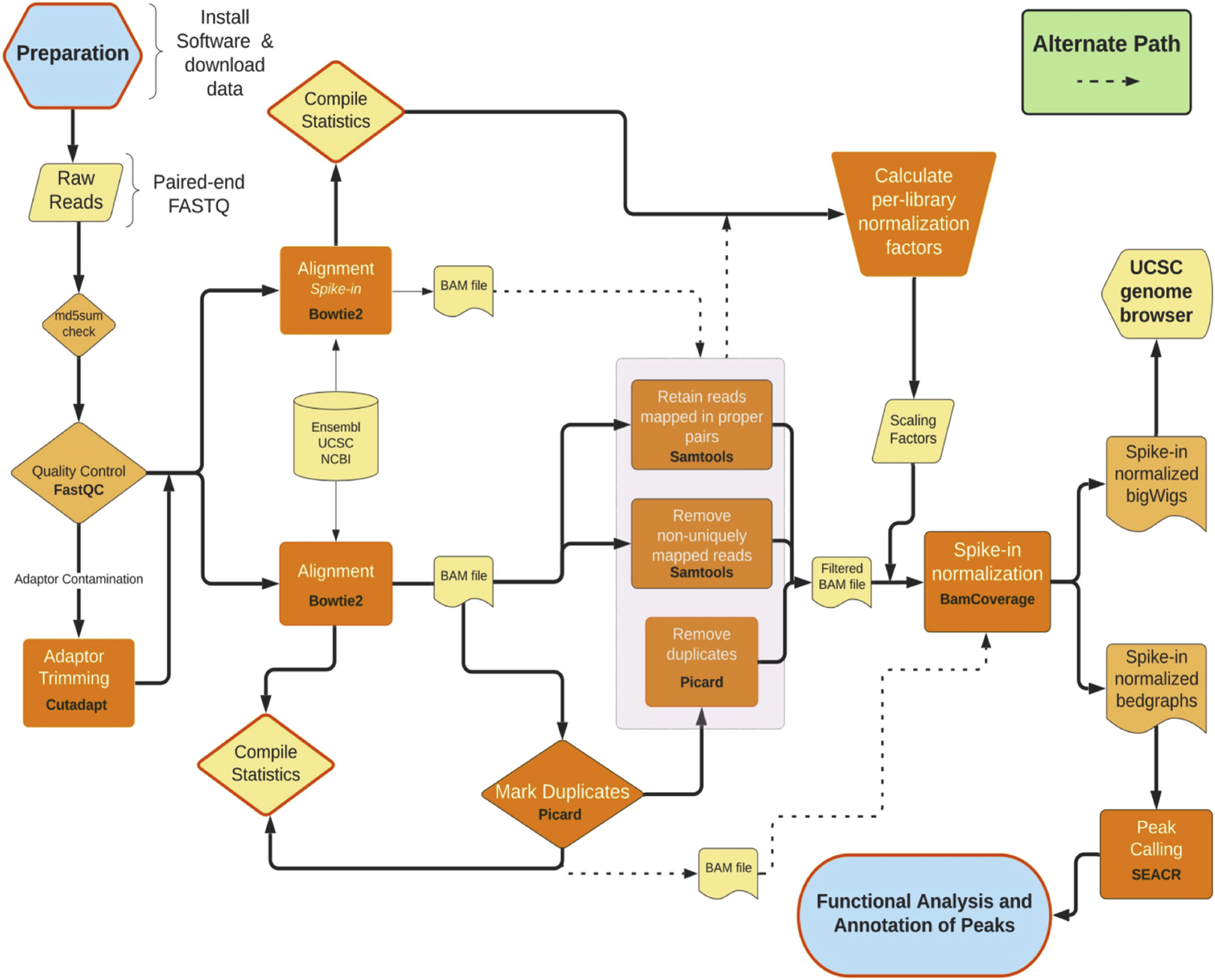 Cell Press STAR Protocols