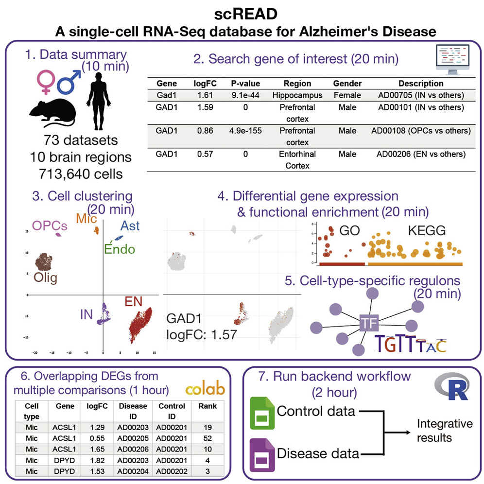 SLEEPSELECT [シングル]GENOLSDCNA ジェノール Sealy ナチュラル SLEEPSELECT [シングル]GENOLSDCNA ジェノール Sealy ナチュラル